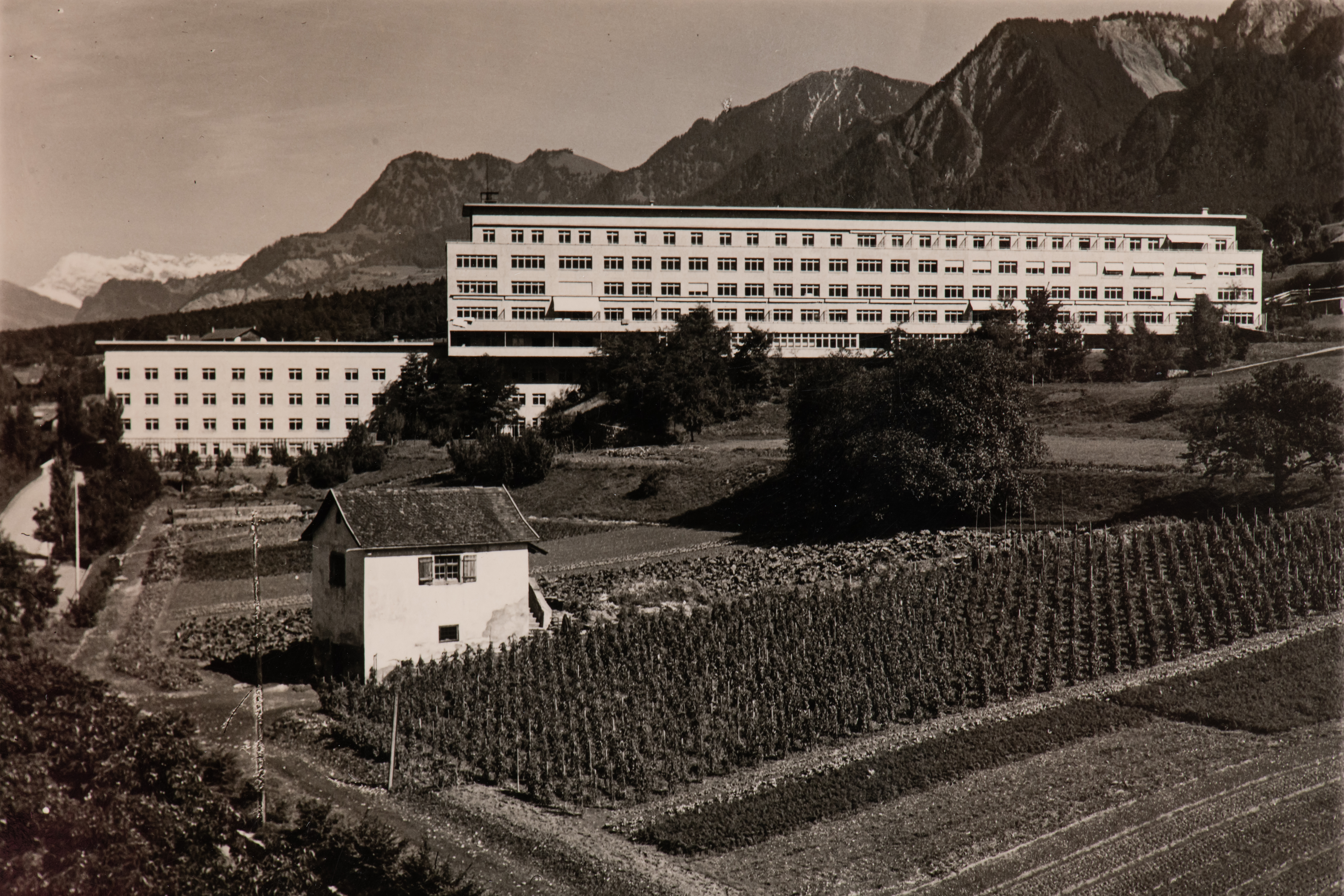 1945: Der Spitalgarten des Kantonsspitals
